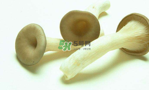 蘑菇不能和什么一起吃会中毒,蘑菇不可以和什么一起食用