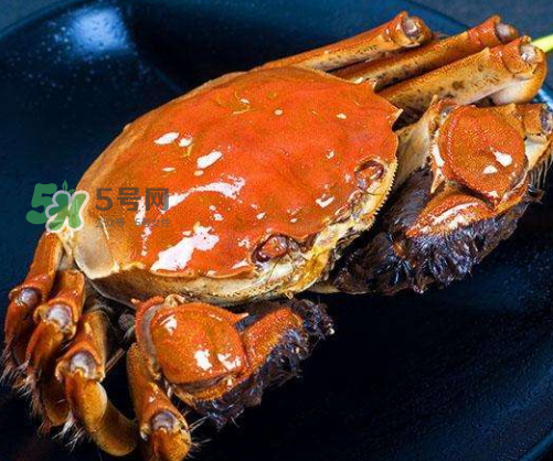 河蟹黄为什么苦,为什么蟹黄是苦的 河蟹黄为什么苦,为什么蟹黄是苦的