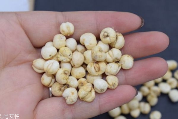 川贝怎么保存呢(川贝怎样保存)