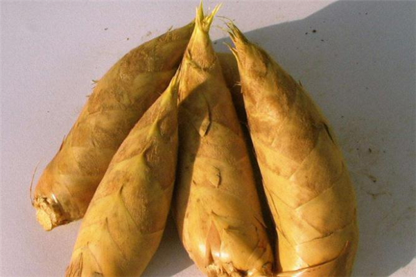 乳腺癌术后能动吗,乳腺癌动手术后能活多久 乳腺癌术后能动吗,乳腺癌动手术后能活多久