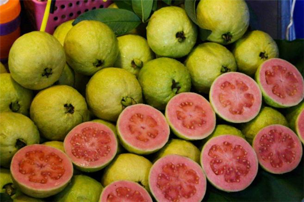 吃番石榴要注意什么(吃番石榴要注意什么)