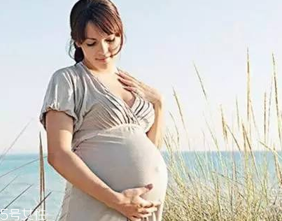 Elevit爱乐维孕妇营养维生素介绍(elevit爱乐维孕妇维生素营养片) Elevit爱乐维孕妇营养维生素介绍(elevit爱乐维孕妇维生素营养片)