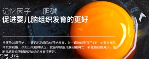 newa童颜机用法(童颜机正确使用方法)