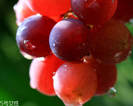 抗衰老的大敌(对抗衰老最好的办法)