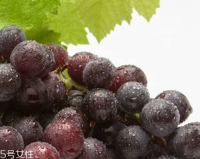 抗衰老食品(抗衰老食物排行榜10强) 抗衰老食品(抗衰老食物排行榜10强)