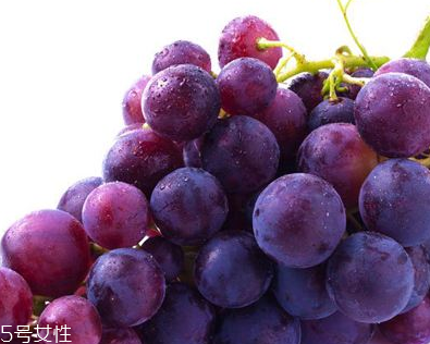 抗衰老的水果(抗衰老的水果有哪些?)