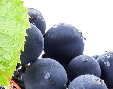 抗衰老水果(抗衰老水果排行榜)