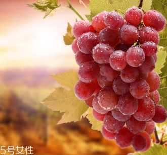 抗衰老食物(什么食物可以抗衰老)