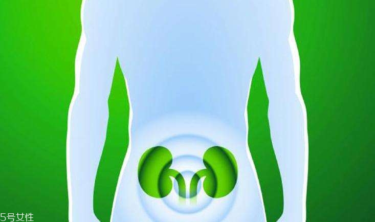 怎样预防肾病的发生(怎样预防肾病的发生) 怎样预防肾病的发生(怎样预防肾病的发生)