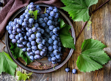 抗衰老小知识(抗衰老小知识女性)