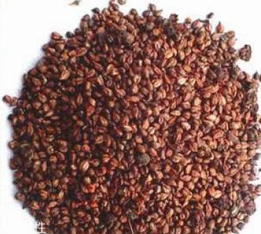 抗衰老就吃黄瓜(吃黄瓜能美容养颜吗)