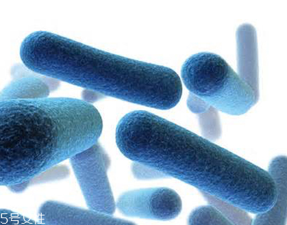 虾青素抗皱的作用机理(虾青素有抗皱效果吗) 虾青素抗皱的作用机理(虾青素有抗皱效果吗)