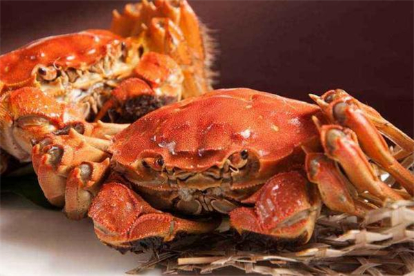 螃蟹怎么蒸(螃蟹怎么蒸好吃又简单视频教程)