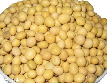 大豆卵磷脂适合人群有哪些(大豆卵磷脂适合什么人群)