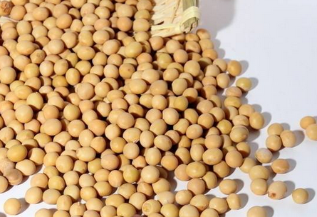 心脏痉挛是怎么回事(心脏痉挛有什么好办法治疗吗)