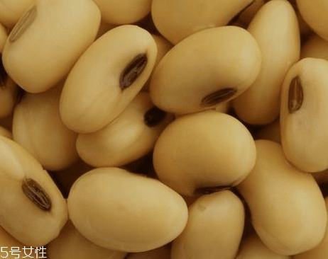 什么食物含卵磷脂丰富(什么食物含卵磷脂比较多)