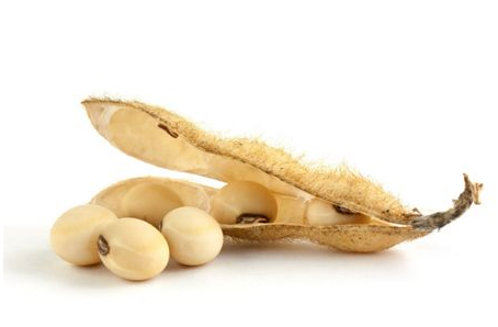 心脏彩超多少钱(心脏彩超多少钱一次) 心脏彩超多少钱(心脏彩超多少钱一次)