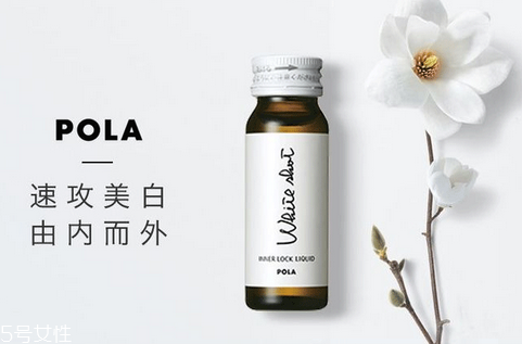 雏菊是肌肤美白的秘诀(雏菊花对皮肤的功效)