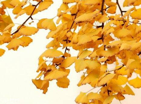 不要过分迷信保健品(不能滥用保健品的原因) 不要过分迷信保健品(不能滥用保健品的原因)