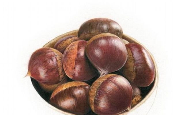 甲亢为什么不能吃玉米,甲亢为什么不能吃玉米和马铃薯