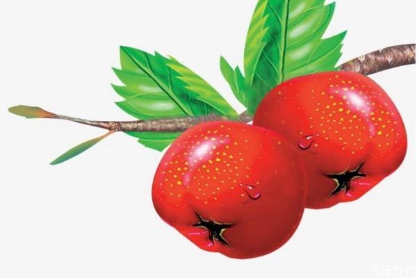 山楂有什么价值呢(山楂的药用价值) 山楂有什么价值呢(山楂的药用价值)