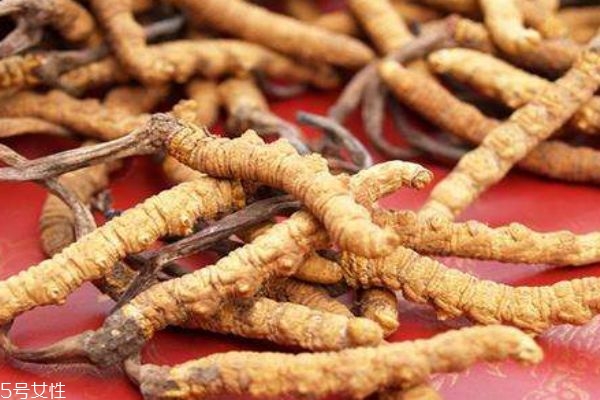 冬虫夏草要怎么吃呢(虫草怎么吃效果最好) 冬虫夏草要怎么吃呢(虫草怎么吃效果最好)