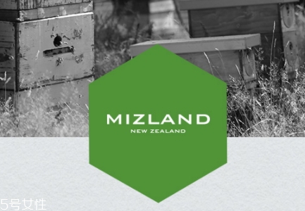 蜜滋兰蜂蜜好喝吗(蜜滋兰蜂蜜不是真正进口)