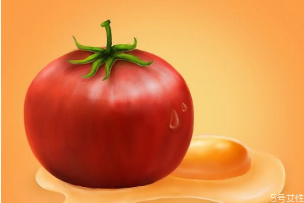 番茄的生长环境是怎么样的呢(番茄的适合生长环境)