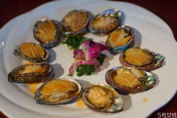 鲍鱼的种类有什么呢(鲍鱼的种类有哪些)