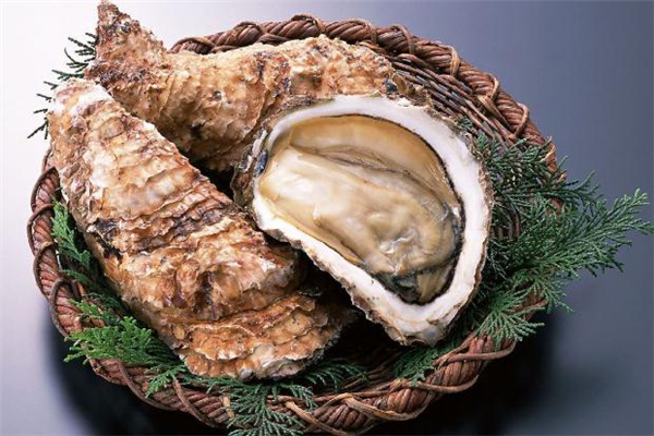 海蛎子一般蒸多久(海蛎子一般蒸多久才熟)