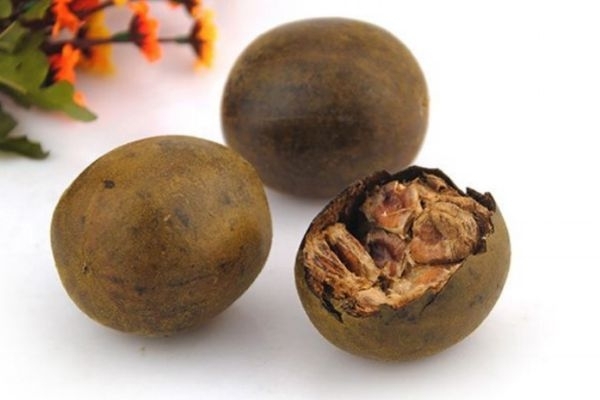 罗汉果主要分布在哪里呢(罗汉果生长在什么地方)