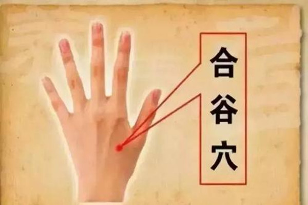 针灸合谷的针刺方向,合谷的针灸准确操作