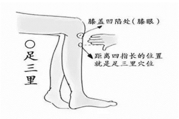 足三里怎么找最简单的方法,足三里怎么找最准确