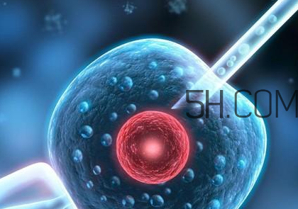 染色体有问题能做试管吗,染色体异常可以做试管吗