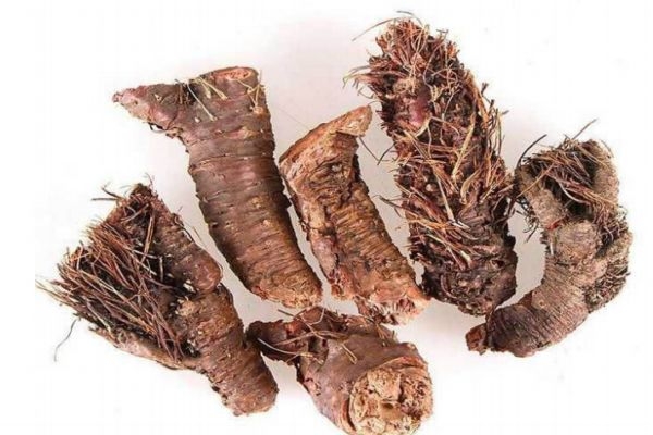 红景天如何食用,红景天食用方法?