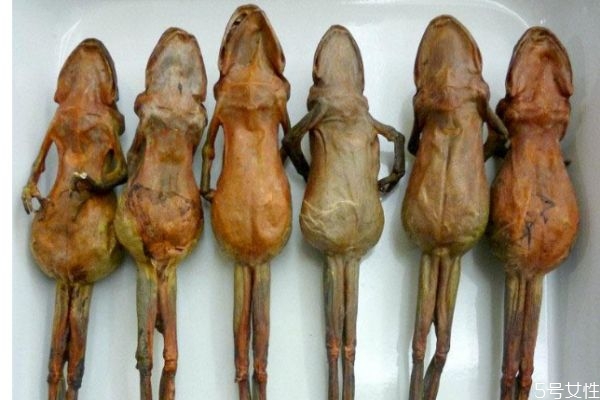 雪蛤的吃法,雪蛤如何吃