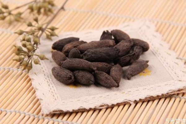 母丁香的作用,母丁香的功效和作用点