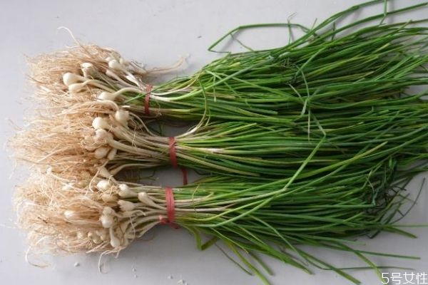 薤白的作用是什么,薤白的功效和作用点的功效和作用及禁忌