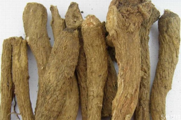 木香有什么作用,木香的功效和作用吃法大全