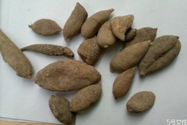 广郁金的作用,广郁金的功效和作用点