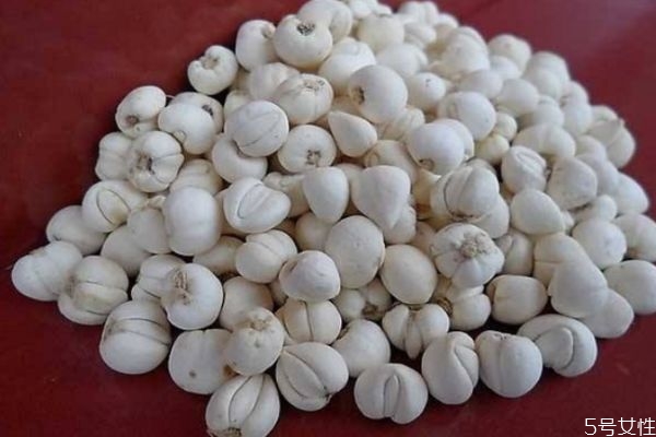 贝母的功效是什么,贝母的功效和作用点用