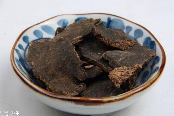 玄参的生长环境,玄参生长最佳环境和气候