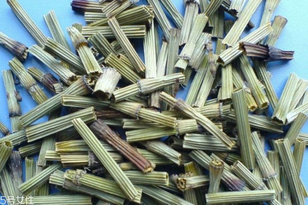 木贼怎么养,木贼中药的副作用 木贼怎么养,木贼中药的副作用