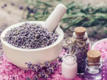 薰衣草精油怎么用(薰衣草精油怎么用效果比较好)