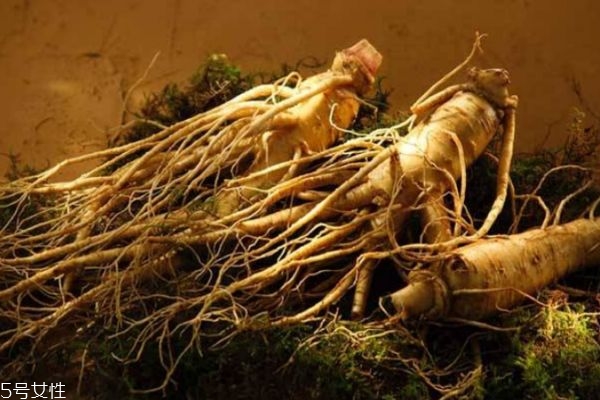 人参有营养价值吗,人参有什么营养成分