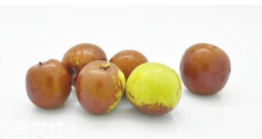 枣子有哪些功效(枣子有哪些功效) 枣子有哪些功效(枣子有哪些功效)