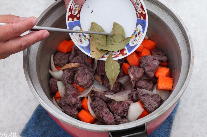 月桂叶怎么用,月桂调料图片