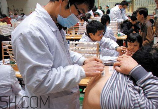 三伏贴多少钱一盒,三伏贴多少钱一盒一盒多少贴