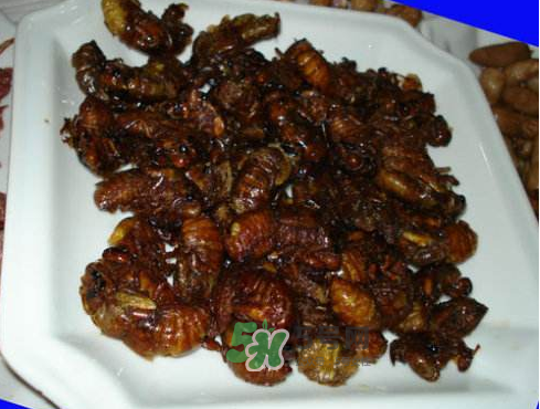 干煸知了猴的做法,干煸知了猴的做法窍门