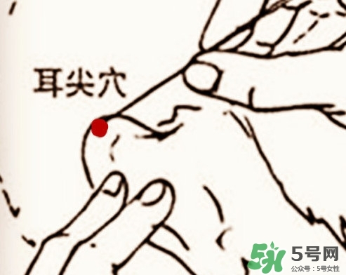 放血疗法的功效,放血治疗作用